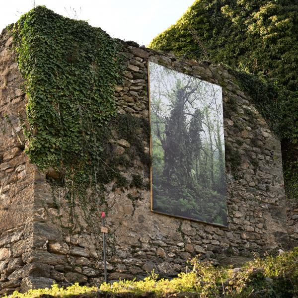 Vìa - Chjassu d'arte in natura